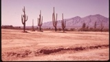 Desert (Photo Credit: U.S. National Archives)