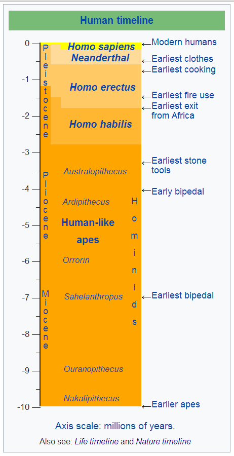 Human Timeline