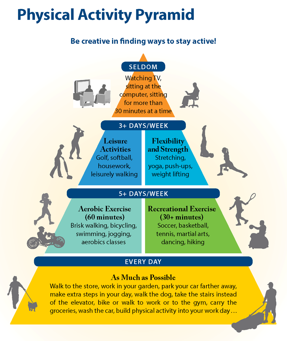level of physical activity pyramid