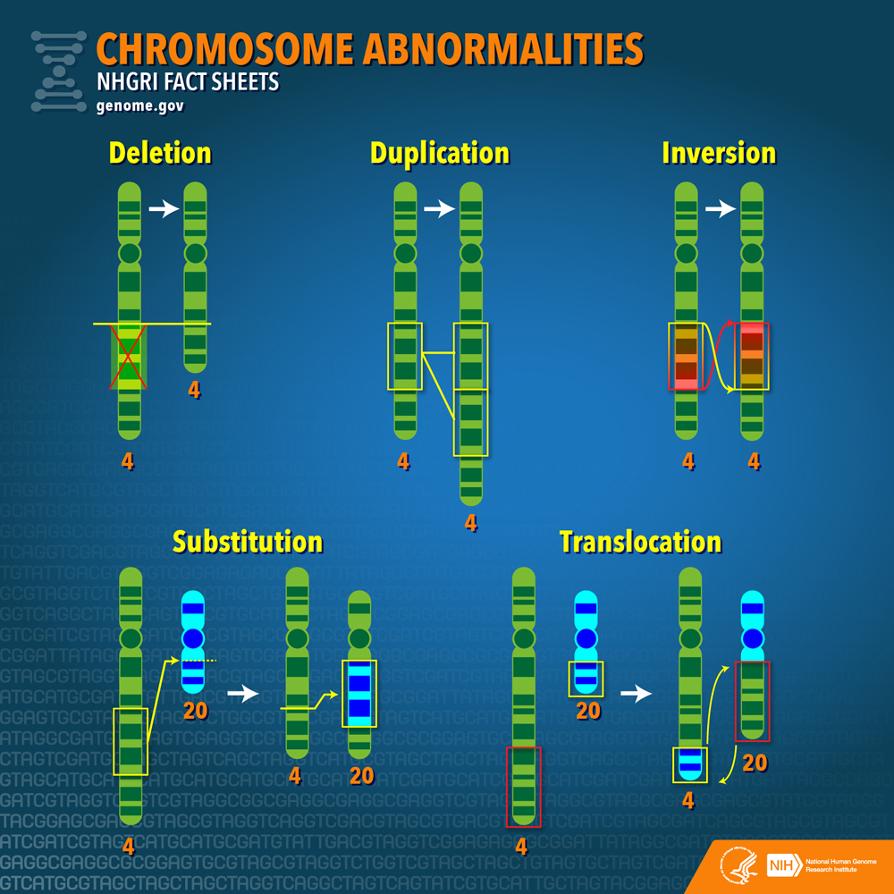 Chromosome Abnormalities