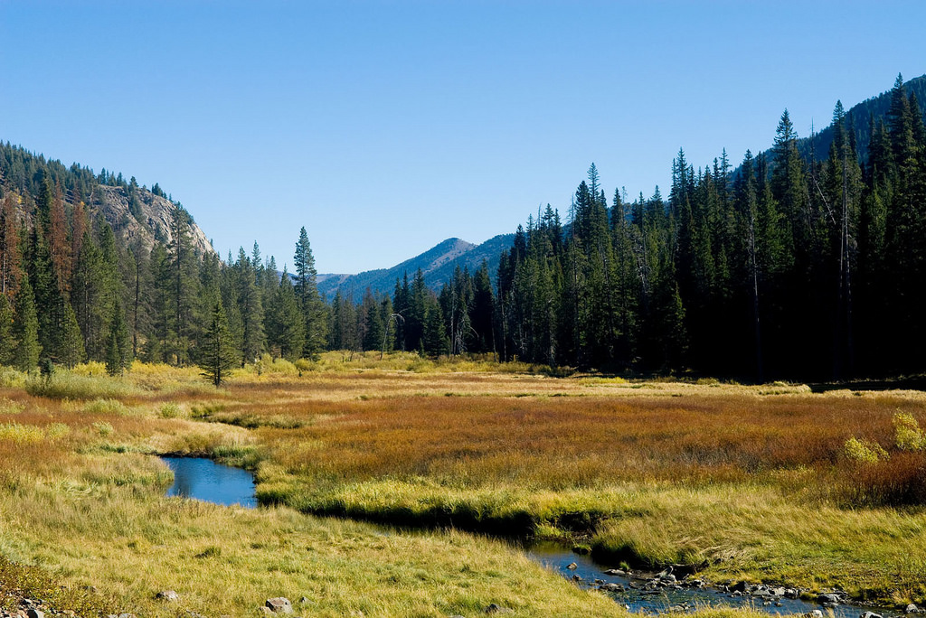 Streams and greenery (Photo Credit: Danny Hart, USEPA Environmental-Protection-Agency