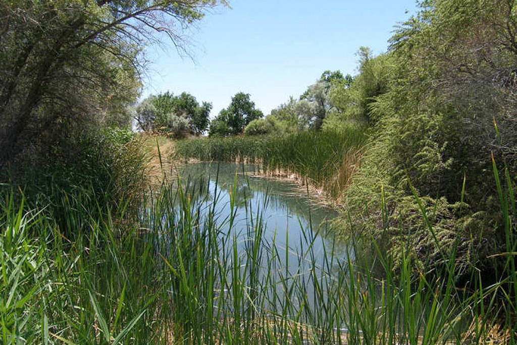 Desert National Wildlife Refuge in southern Nevada (Photo Credit: U.S. Fish and Wildlife Service Southwest Region)