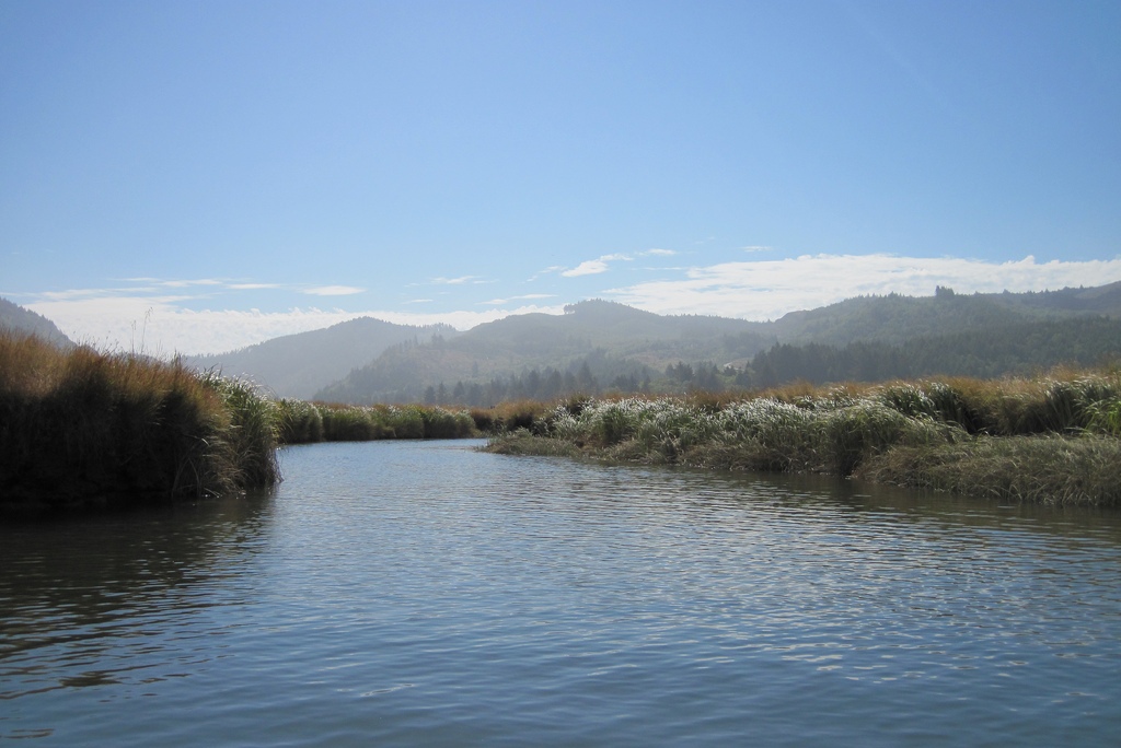 Part of Siletz Bay NWR (Photo Credit: Jennifer Winston, U.S. Fish and Wildlife Service)