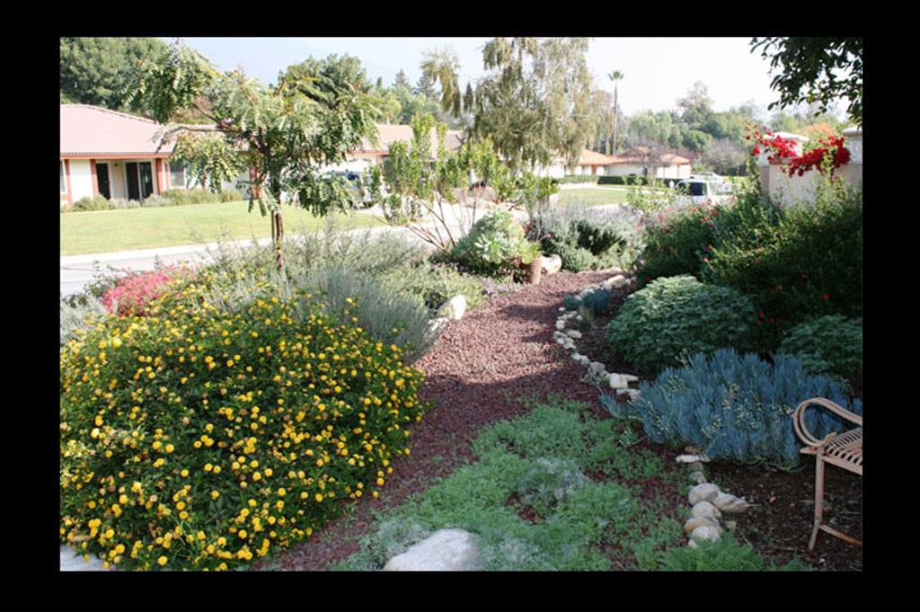 flowering plants (Photo Credit: Erin Morales, USEPA Environmental-Protection-Agency)