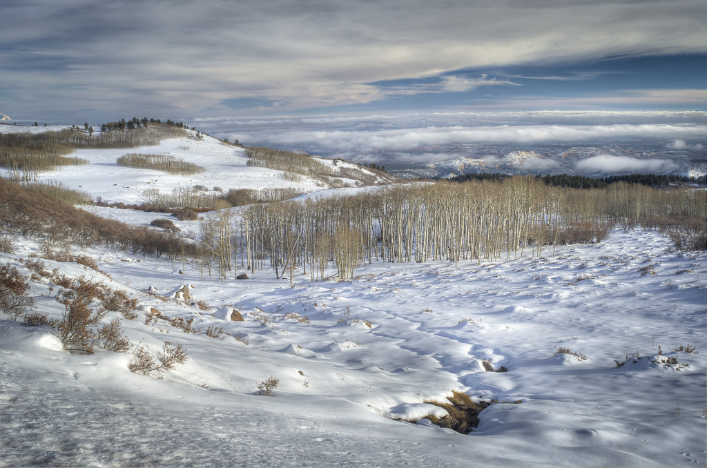 trees (Photo Credit: Larry Crist, U. S. Fish and Wildlife Service Mountain-Prairie)