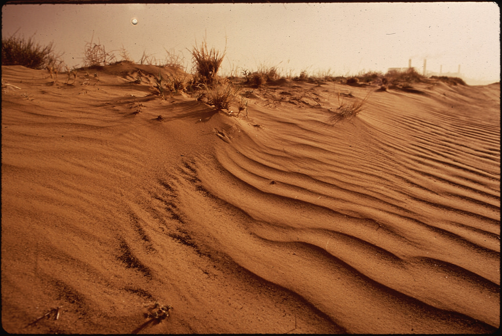 desert brush (Photo Credit: Terry Eiler, The U.S. National Archives)