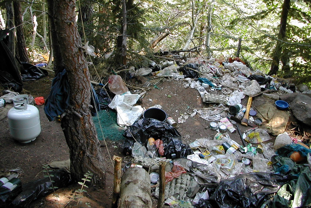 Destruction by humans (Photo Credit: U.S. Department of Agriculture | U.S. Forest Service)