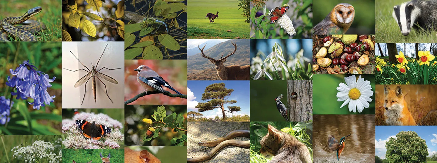 Sequencing All Life On Earth | sangerinstitute.blog