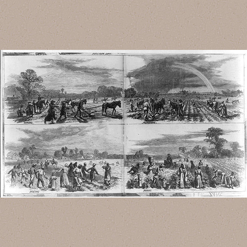 Sowing. Ploughing. Hoeing. Picking | Library of Congress Prints and Photographs Division Washington, D.C. 20540 USA | Date Created/Published: 1867-Feb-2