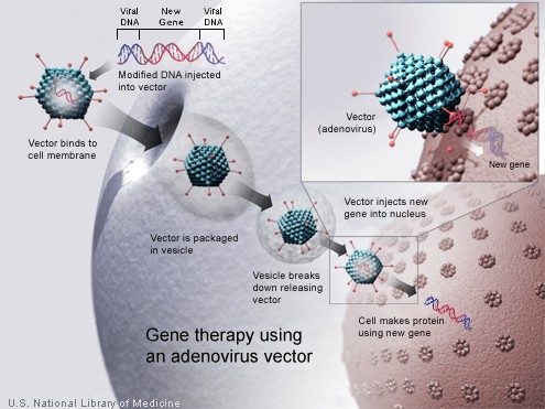 How does gene therapy work?