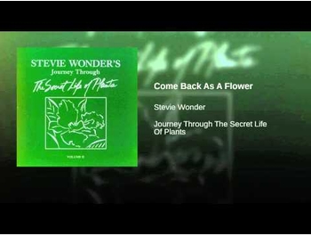 (Stevie Wonder + Syreeta Wright = Come Back As A Flower)